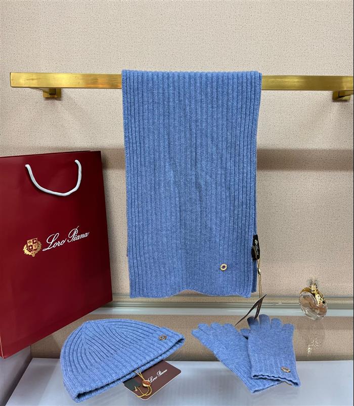 2026116112023815 100